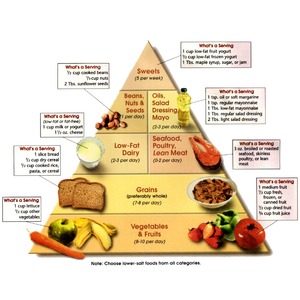 Nutrition Seminar